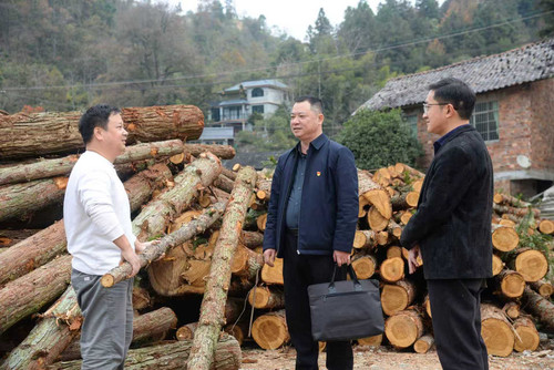 铁肩担道义 枝叶总关情.jpeg